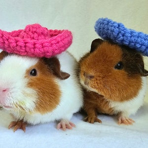 Crochet Sombrero Hats for Guinea Pigs, Bunnies, Gerbils, Hamsters, Chinchillas, and Other Small Pets / Small Handmade Accessories for Pets