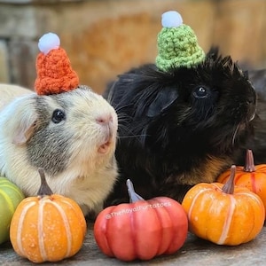 Custom Crochet Winter Hat with Pom-Pom: Small Pet Costume