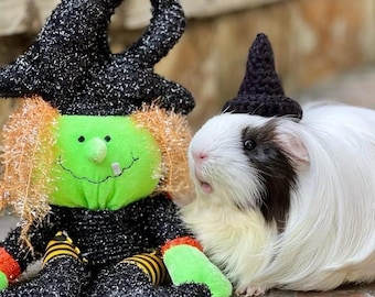Crochet Witch Hat for Small Pets: Guinea Pig, Bunny, Hamster