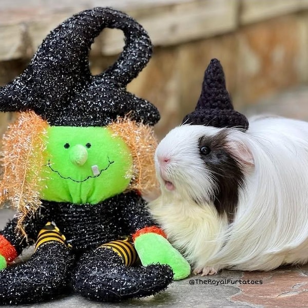 Crochet Witch Hat for Small Pets: Guinea Pig, Bunny, Hamster
