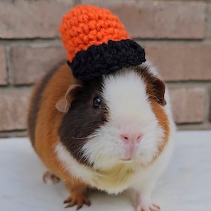Crochet Baseball Hat for Guinea Pigs & Small Pets: Custom Handmade