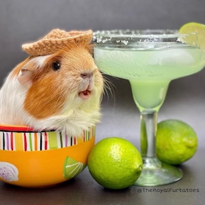 Crochet Tiny Sombrero Hat: Custom Small Pet Costume