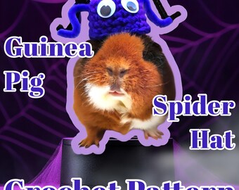 Guinea Pig Spider Hat Crochet Pattern: Small Pet Halloween Costume (PDF Digital Download)