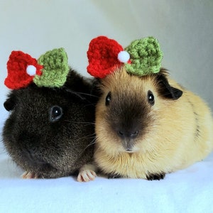 Crochet Holiday Bows and Bowties for Guinea Pigs, Bunnies, Hamsters, Chinchillas, Cats & Other Small Pets/Handmade Accessories for Pets