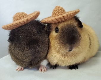 Crochet Hats for Guinea Pigs, Bunnies, Gerbils, Hamsters, Chinchillas, and Other Small Pets / Small Handmade Hat Accessories for Pets