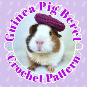 Guinea Pig Beret Crochet Pattern: Easy No-Sew Pet Hat (PDF Digital Download