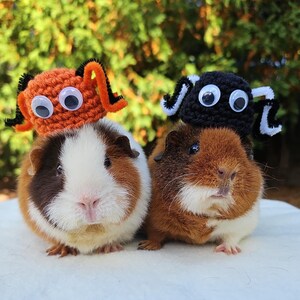 Puede incluir: Dos conejillos de indias con disfraces de Halloween hechos a mano de ganchillo. Un conejillo de indias lleva un disfraz de ara&ntilde;a negra con patas de limpiapipas blancas y ojos saltones. El otro conejillo de indias lleva un disfraz de cangrejo naranja y blanco con ojos saltones.