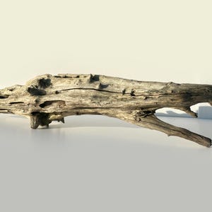 Extra large driftwood, garden wood decor, large driftwood sculpture, aquarium driftwood, aquascape wood, garden driftwood, terrarium decor