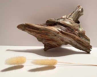 Driftwood sculpture, decorative wood, fish tank wood, terrarium driftwood, aquarium driftwood, rustic wood, driftwood pieces, aquascaping