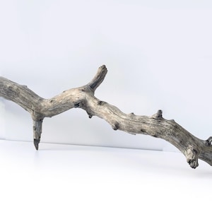 Driftwood tree branch, large driftwood sculpture, ghostwood branch, coastal sculpture, garden wood decor, beach garden decor, beach wood