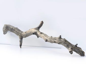 Drijfhoutboomtak, groot drijfhoutbeeldhouwwerk, spookhouttak, kustbeeldhouwwerk, tuinhoutdecor, strandtuindecor, strandhout