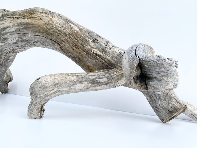 Extra Large Driftwood Sculpture Branch Decor Driftwood Etsy