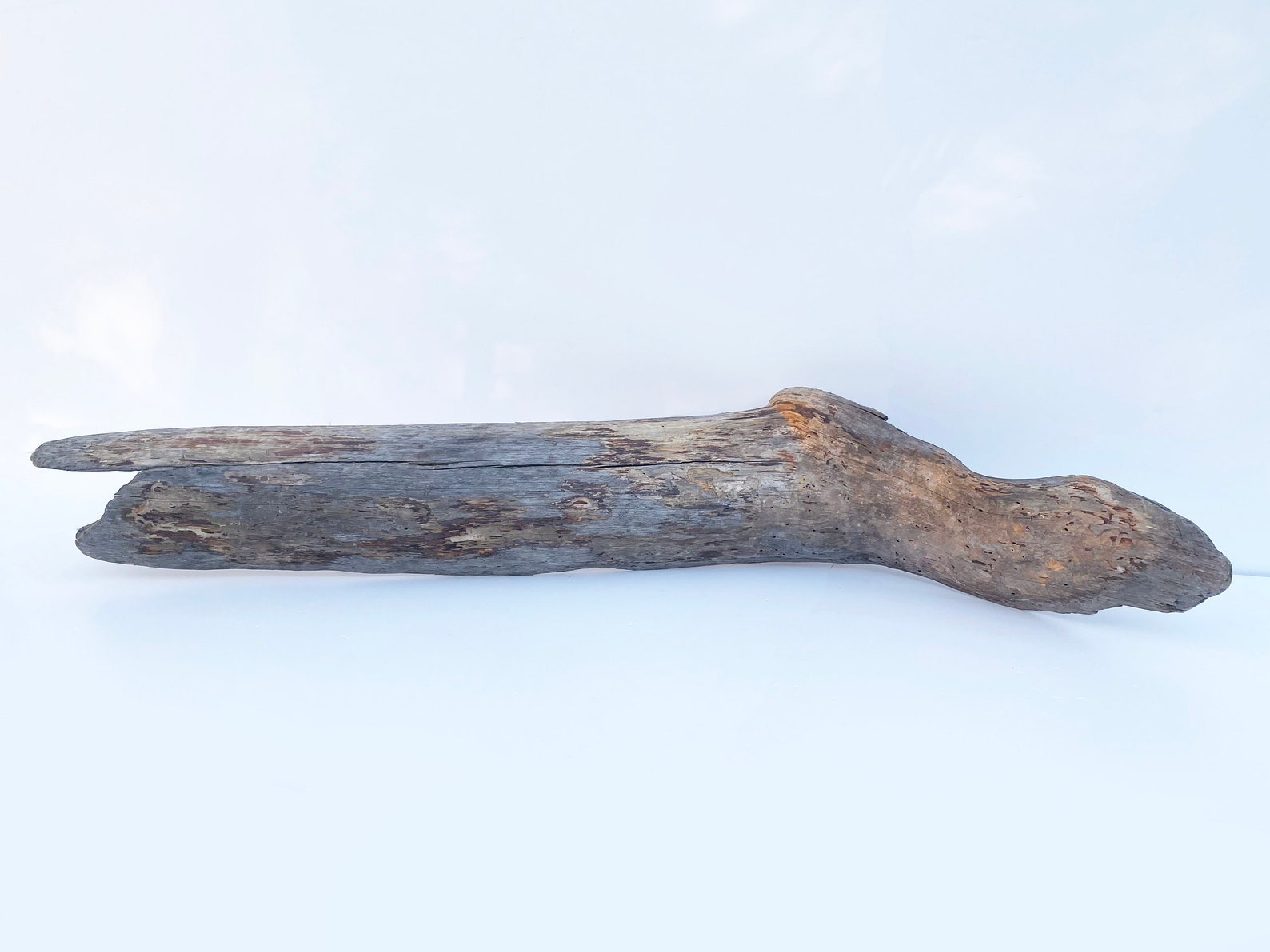 Extra Large Driftwood, Garden Wood Decor, Large Driftwood Sculpture