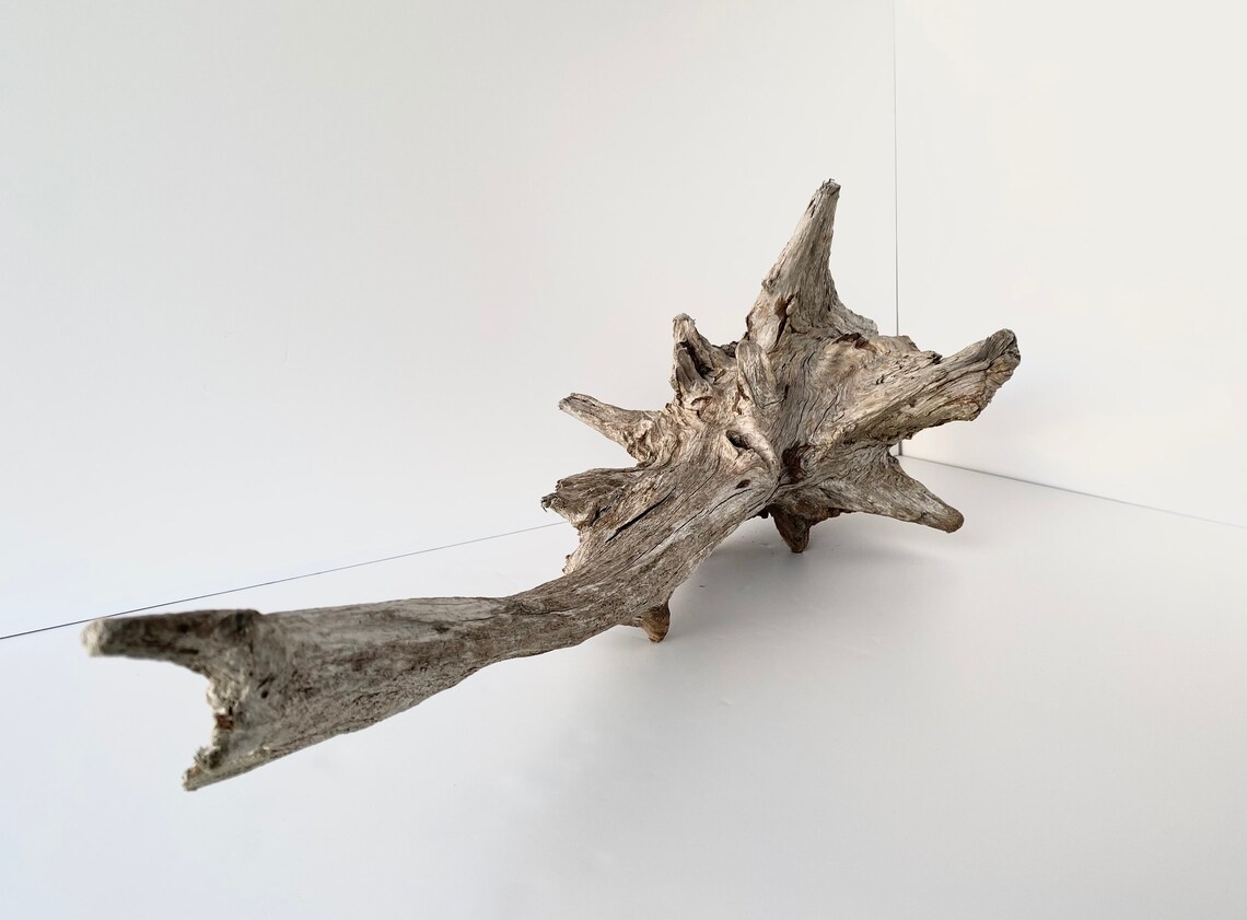 Large driftwood piece driftwood sculpture aquarium Etsy