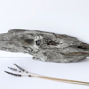 Aquarium decor unique, beach driftwood aquarium, ghost wood, reptile hide cave, terrarium decor for snake enclosure, aquascape hardscape