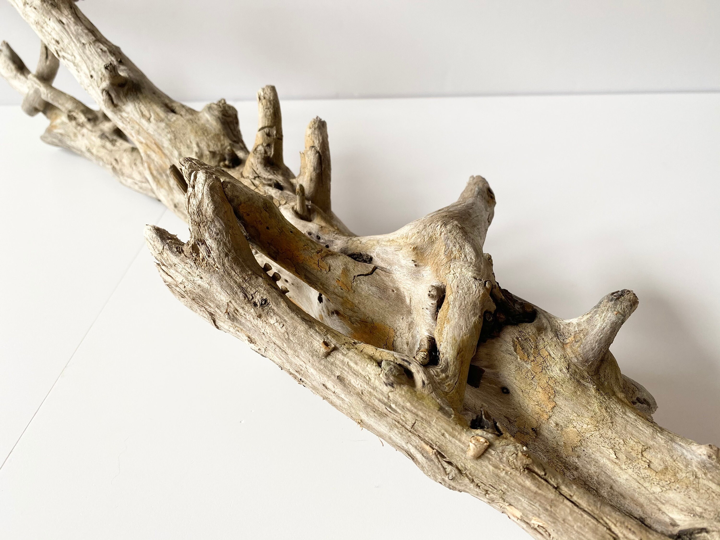 Large Driftwood Piece Aquarium Driftwood Driftwood Branch Etsy