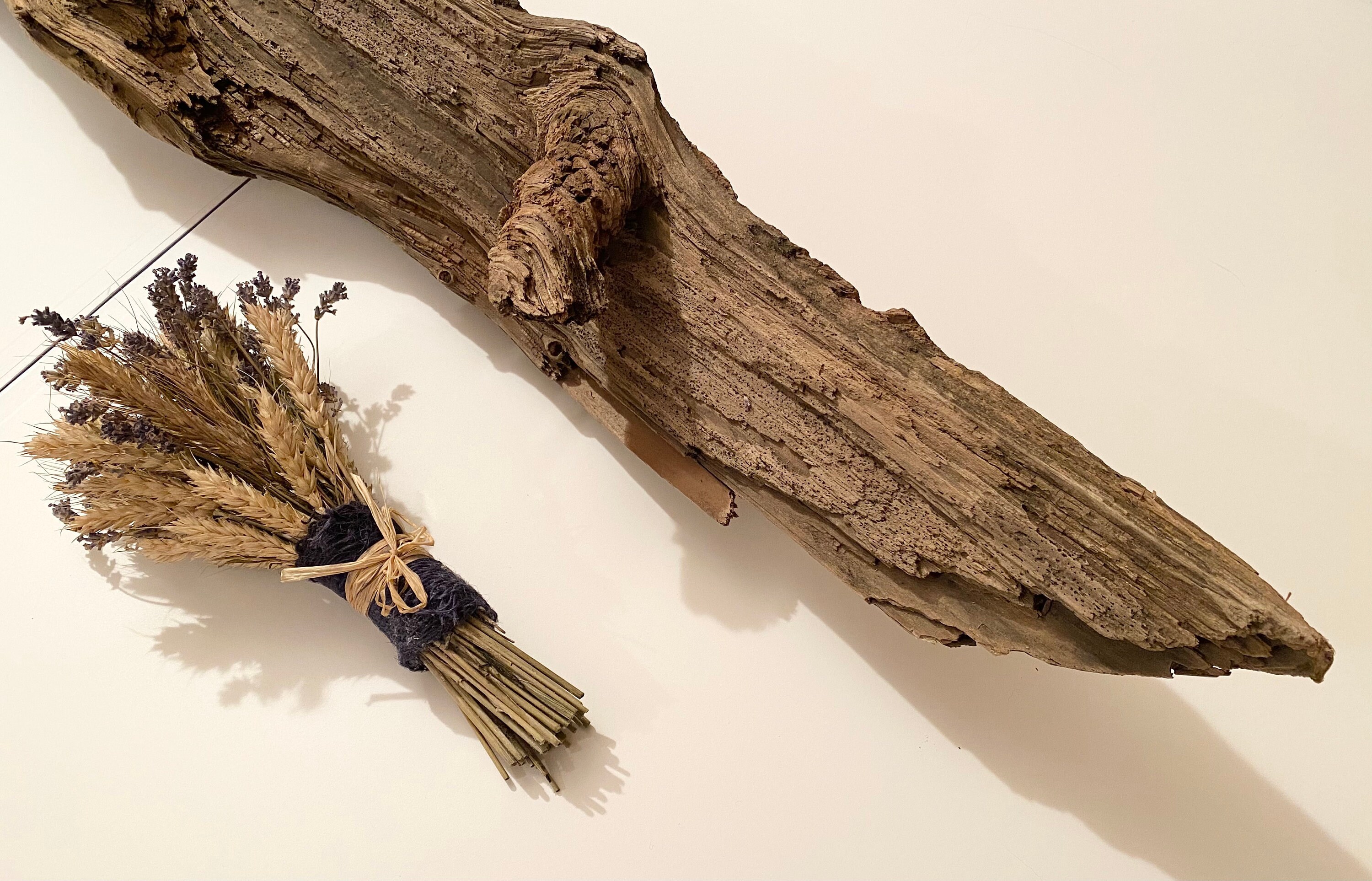 Sea washed Natural Cork Bark Cork Bark Piece Natural Tree | Etsy