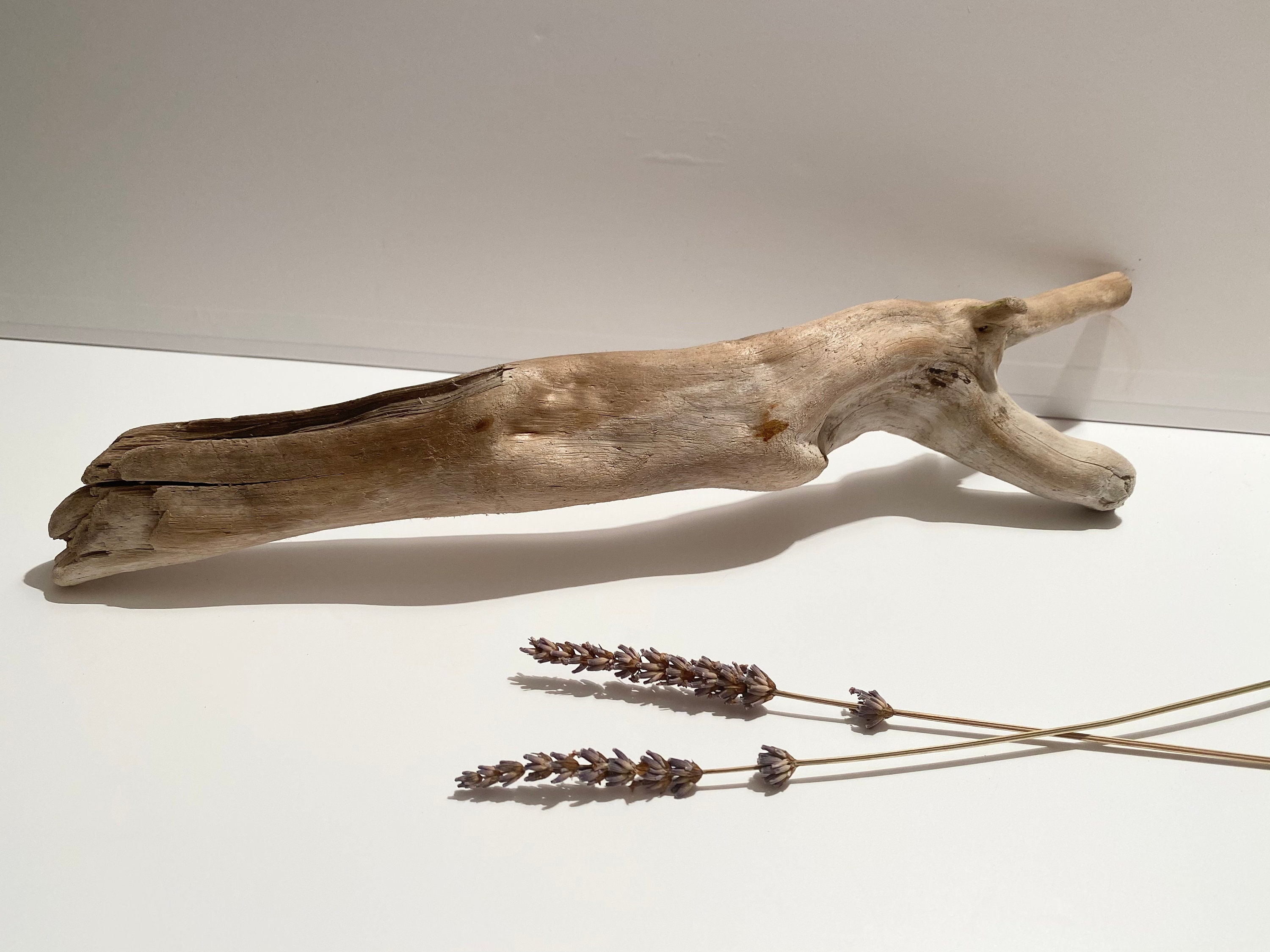 Aquascape Hardscape Aquarium Decor Unique Driftwood Aquarium Ghostwood