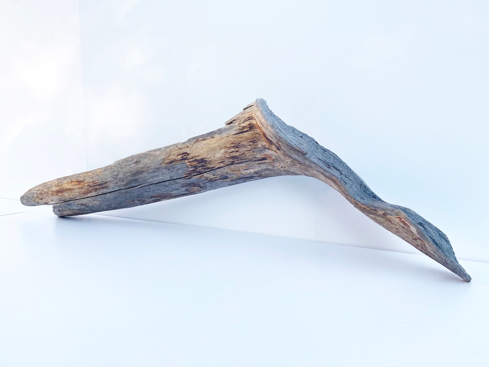 Extra Large Driftwood, Garden Wood Decor, Large Driftwood Sculpture