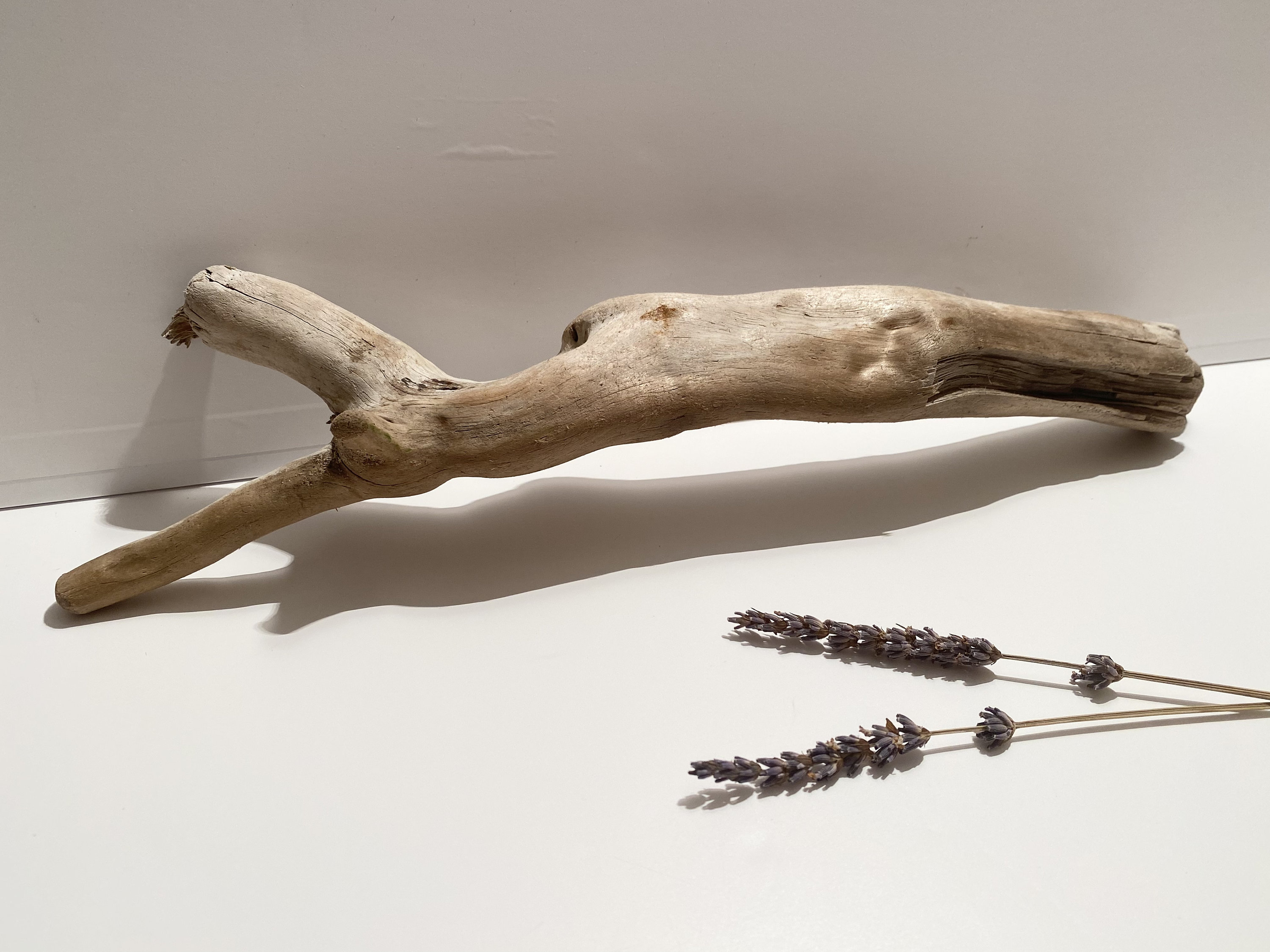 Aquascape Hardscape Aquarium Decor Unique Driftwood Aquarium Ghostwood