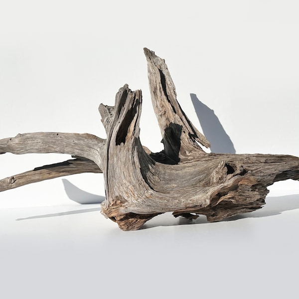 Driftwood for Aquariums Large Etsy