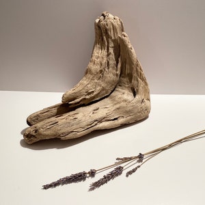 Aquarium driftwood, driftwood piece, aquascaping, terrarium decor, driftwood sculpure, vivarium, fish tank driftwood, reptile terrarium wood
