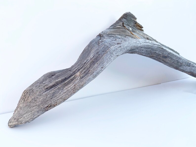 Extra Large Driftwood, Garden Wood Decor, Large Driftwood Sculpture