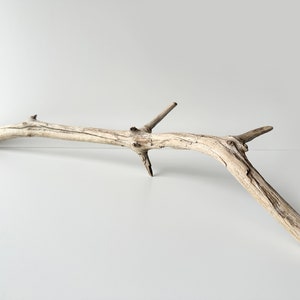 Rama de madera a la deriva, madera de paisaje acuático, escultura de madera de acuario, decoración de terrario, madera de tanque de reptiles, decoración de peceras, palos de madera a la deriva