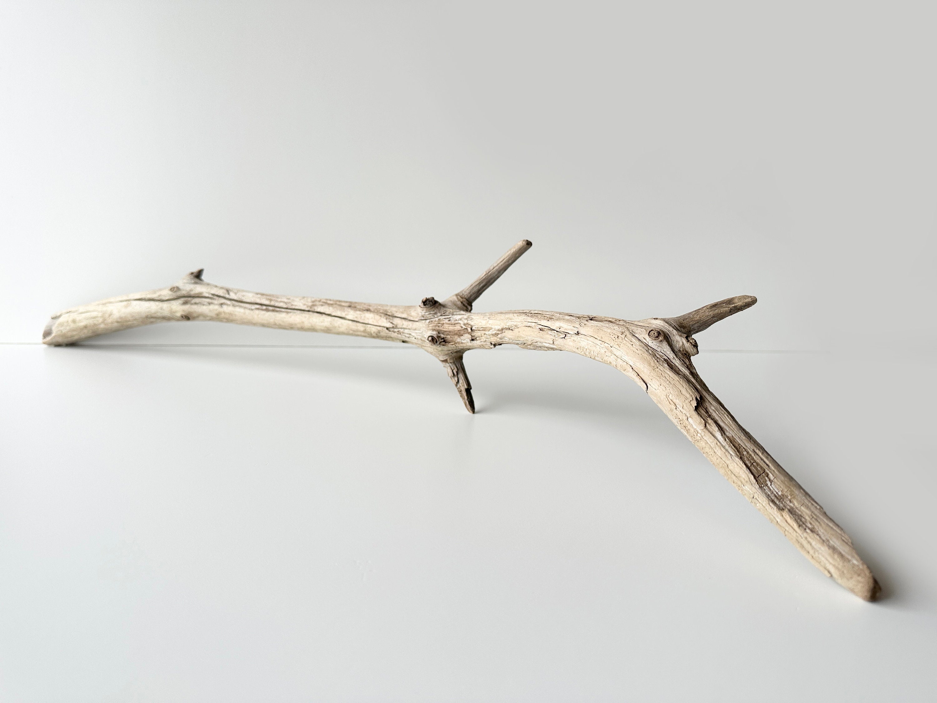Driftwood branch, aquascape wood, aquarium dirftwood sculpture, terrarium decor, reptile tank wood, fish tank decoration, driftwood sticks
