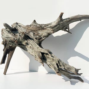 Aquarium driftwood stump, large driftwood sculpure, ghostwood branch, reptile terrarium decor, fish tank driftwood piece, aquascaping