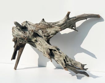 Aquarium driftwood stump, large driftwood sculpure, ghostwood branch, reptile terrarium decor, fish tank driftwood piece, aquascaping