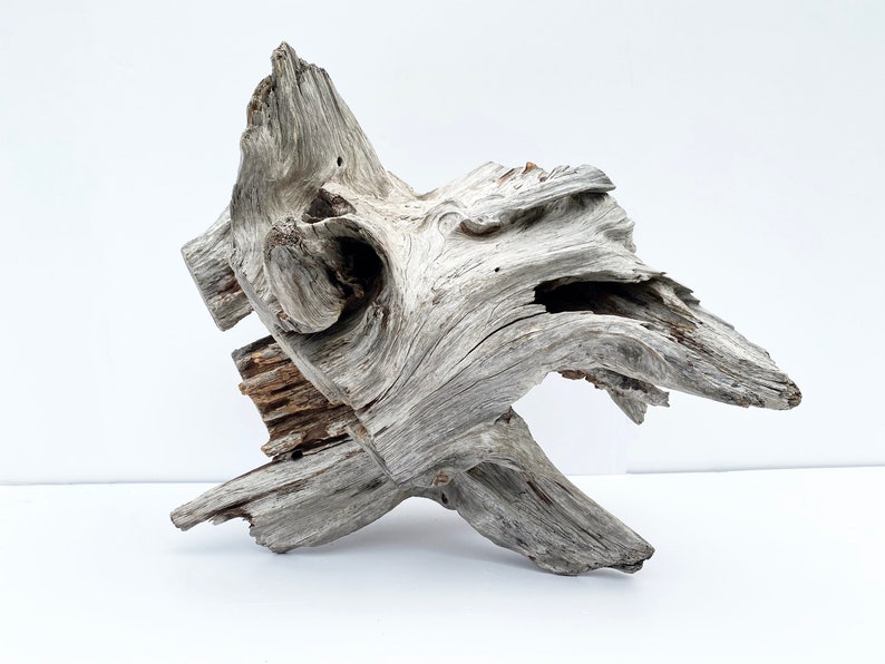 Extra Large Driftwood Sculpture, Wood Terrarium Reptile Hide, Garden