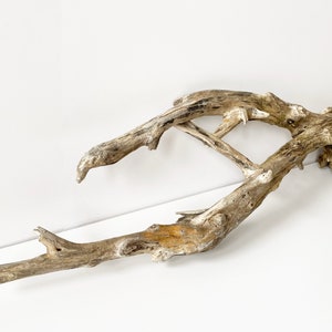 Large driftwood branch, terrarium driftwood stick, aquarium driftwood sculpture, fish tank wood reptile, aquascape wood terrarium decor