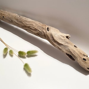 Driftwood stick, driftwood piece, fish tank decoration, vivarium driftwood, aquarium driftwood, reptile terrarium decor, aquarium wood