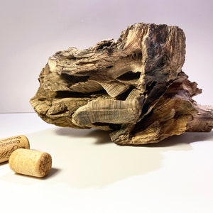 Aquarium driftwood, terrarium decor, driftwood sculpture, reptile tank, fish tank decoration, drift wood piece, rustic decor, aquarium wood