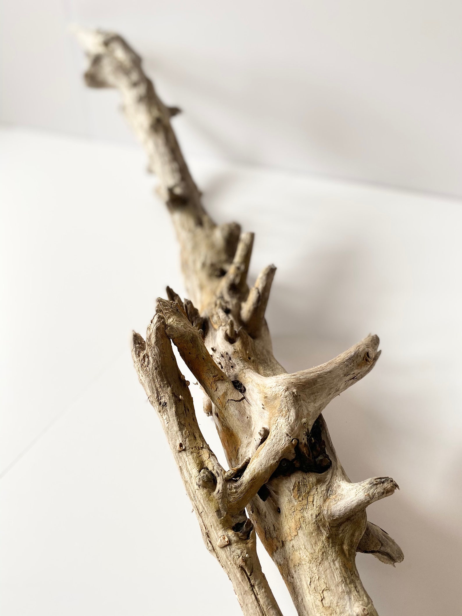 Large Driftwood Piece Aquarium Driftwood Driftwood Branch Etsy