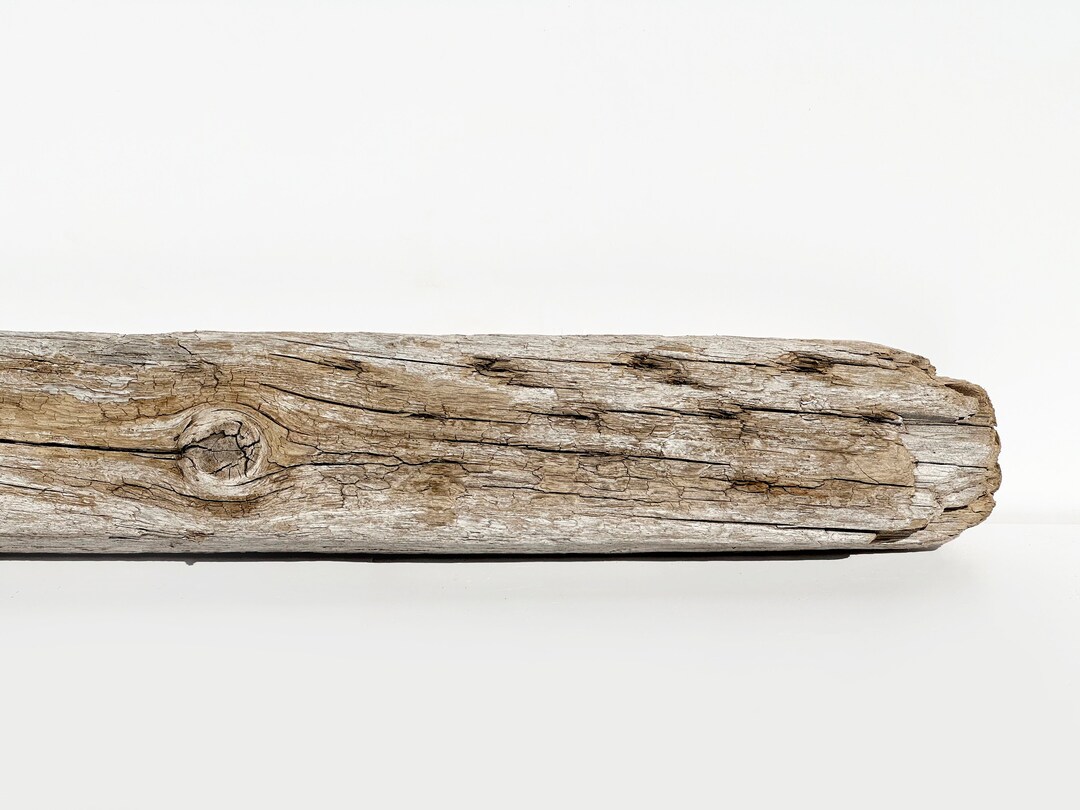 Long Driftwood Board, Large Driftwood Log, Natural Driftwood Stump