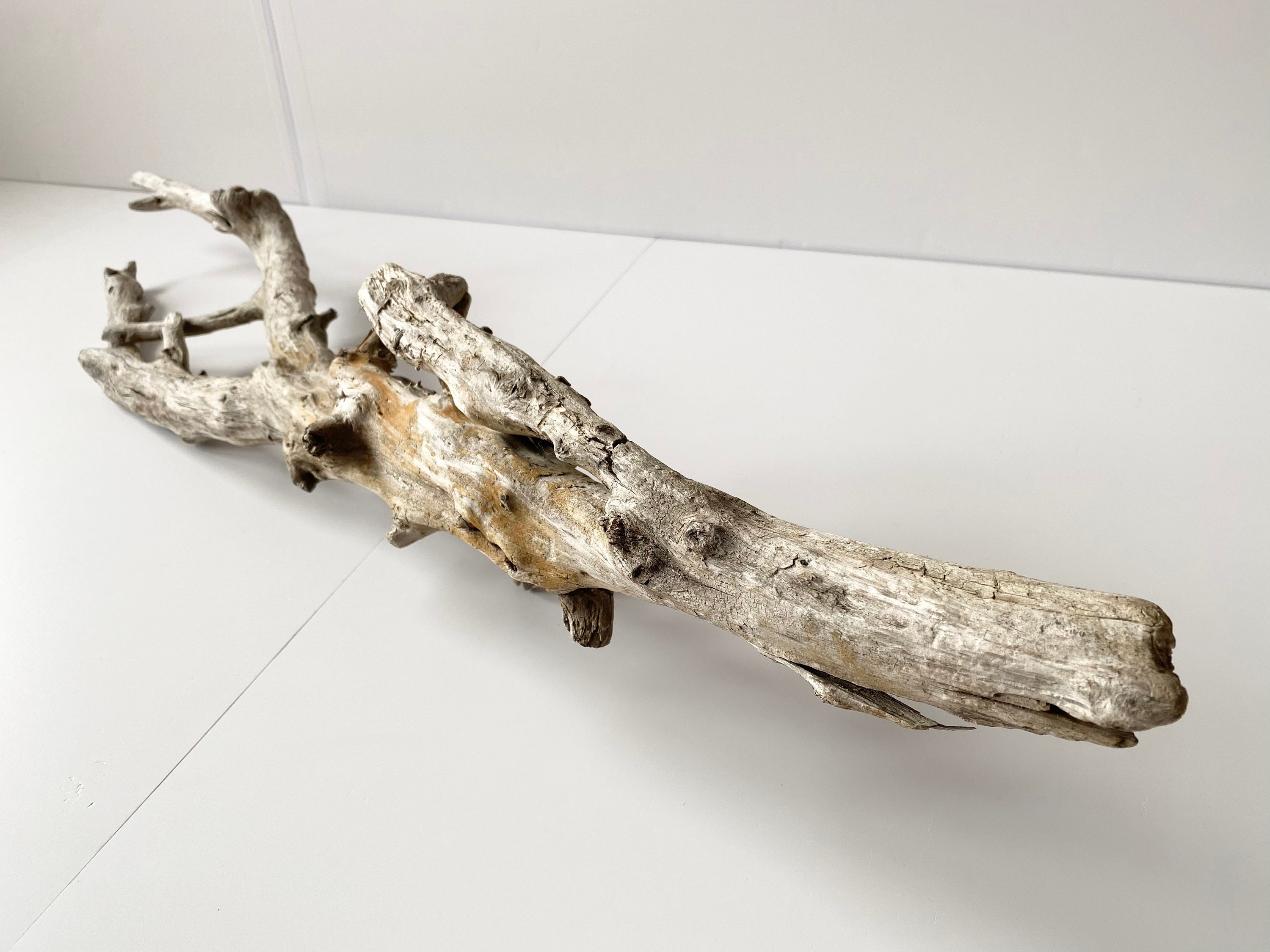 Large Driftwood Piece Aquarium Driftwood Driftwood Branch Etsy
