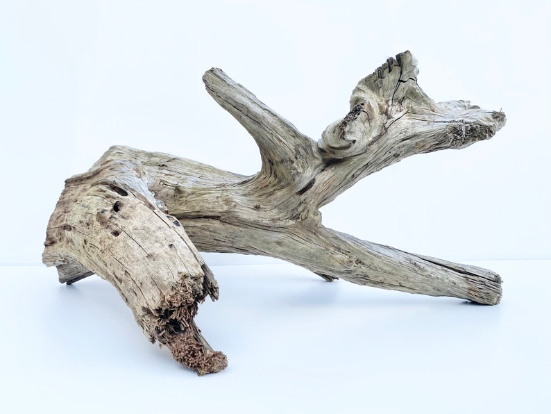 Large Driftwood Sculpture Extra Large Driftwood Pieces Etsy Australia
