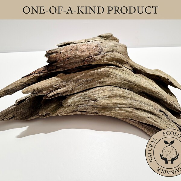 Driftwood Aquarium Etsy