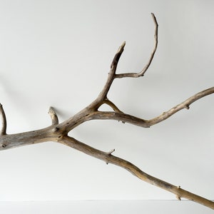 Large driftwood branch, decorative driftwood piece, terrarium wood, aquarium driftwood sculpture, reptile tank wooden decor, fish tank decor