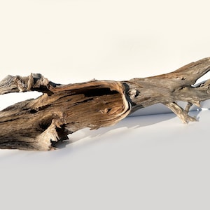 Extra large driftwood sculpture, wood terrarium reptile hide, garden driftwood log, aquarium wood stump, aquascape hardscape, ghostwood