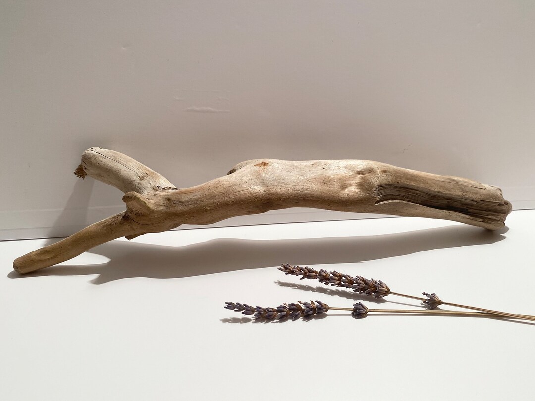 Aquascape Hardscape Aquarium Decor Unique Driftwood Aquarium Ghostwood