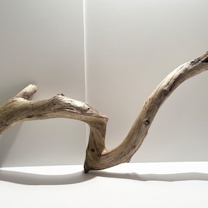 Driftwood stick, aquarium dirftwood, terrarium wood decor, driftwood sculptue, aquascaping, reptile tank wood, fish tank decoration
