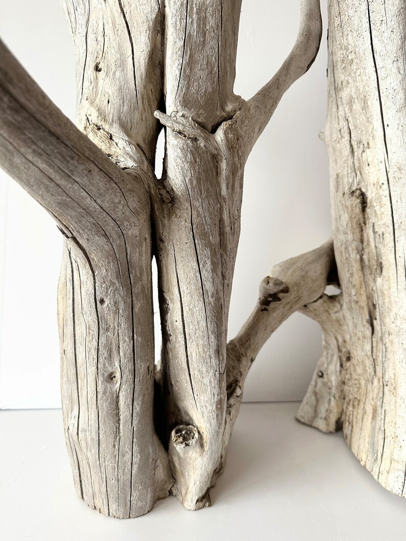 Extra Large Driftwood Aquarium, Floor Sculpture Tall, Driftwood