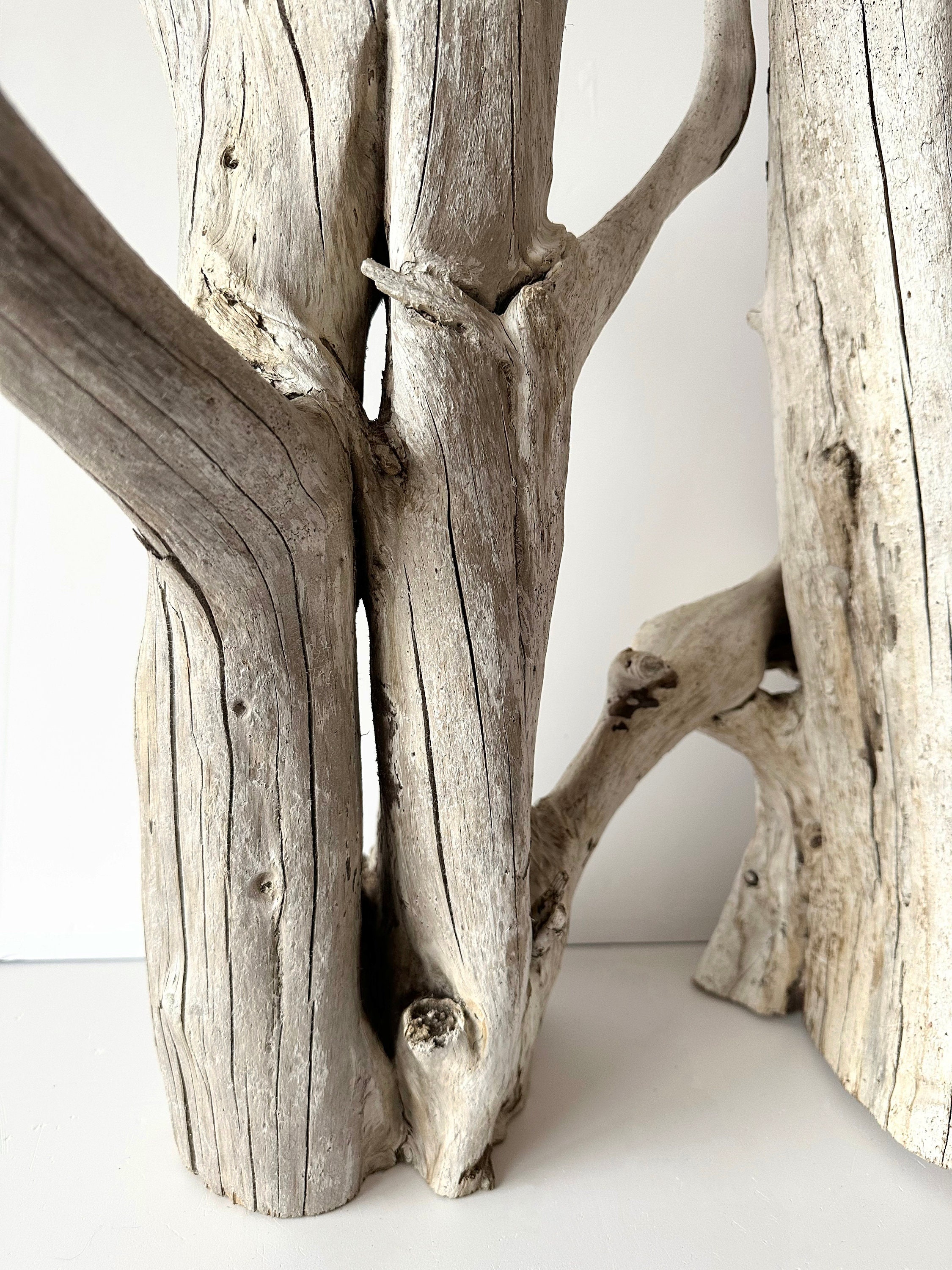 Extra Large Driftwood Aquarium, Floor Sculpture Tall, Driftwood