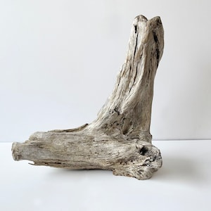 Può includere: Un grande pezzo di legno di deriva di colore grigio chiaro e consistenza ruvida e invecchiata. Il legno ha una forma unica, con una sezione alta e sottile che si ramifica in una base più ampia e piatta.