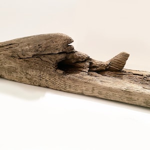 Large driftwood sculpture, extra large driftwood pieces, aquarium driftwood, aquascape wood, garden driftwood, garden wood decor terrarium