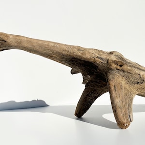 Extra large driftwood sculpture, branch decor, driftwood aquarium log, terrarium decor for reptiles, garden wood, aquarium driftwood stump