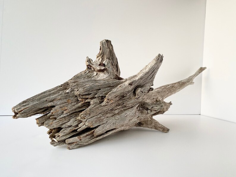Large driftwood piece driftwood sculpture aquarium Etsy